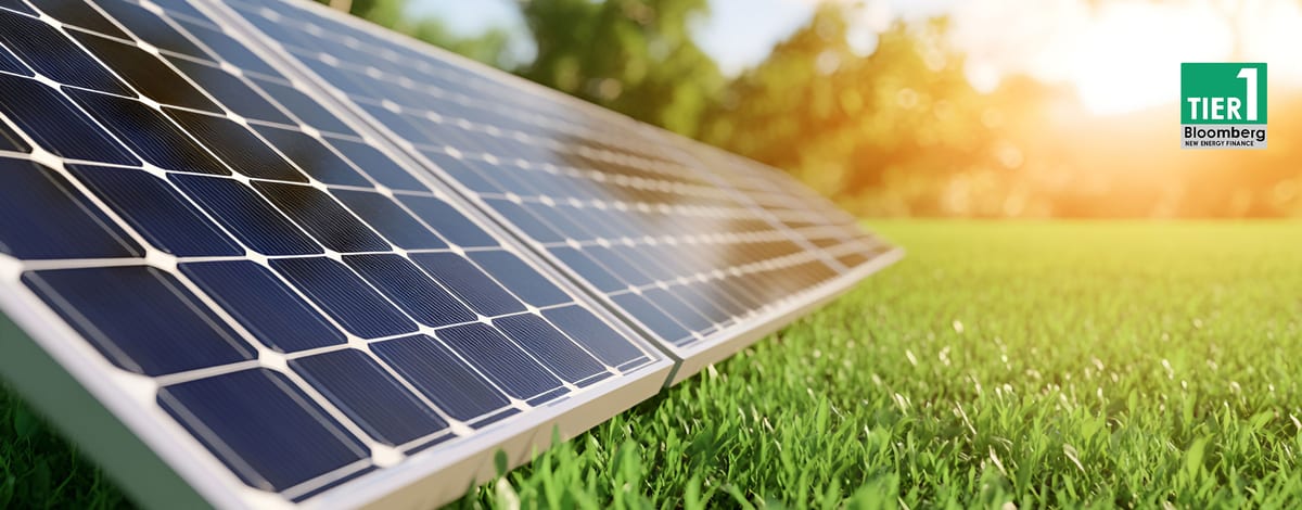 TAEKMO high-efficiency solar modules in the field