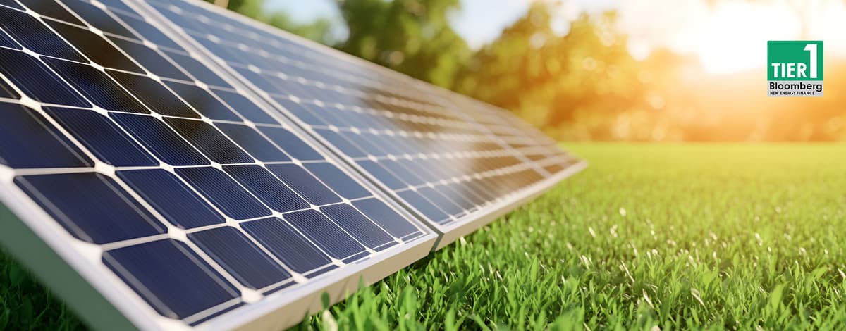 TAEKMO solar modules